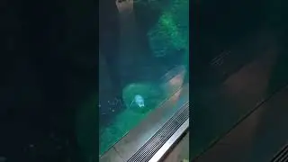 Zoo Antwerp!!!