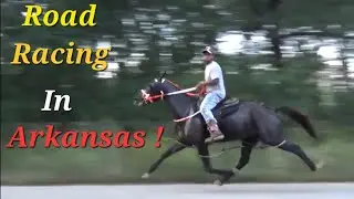 Big Speed Racking and Singlefooting Horse Road Race