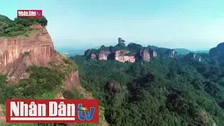 Thế giới quyết t&acirc;m kh&ocirc;i phục đa dạng sinh học