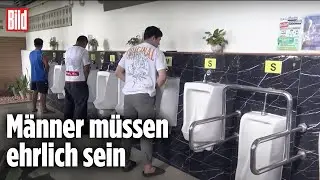 Kuriose Tankstellen-Urinale: Hier wird nach Gr&ouml;&szlig;en sortiert
