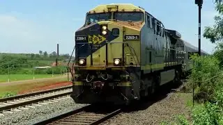 🇧🇷TREM da MRS Carregado - Bracell Celulose  |  Rio Claro Rod. Washington Luís