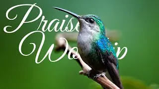 EARLY MORNING PRAISE AND WORSHIP SONGS PLAYLIST | UPLIFTING PRAISE CHRISTIAN WORSHIP SONGS