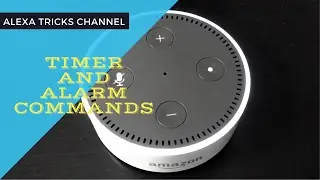 Top 10 Timer and Alarm Commands of Amazon Alexa