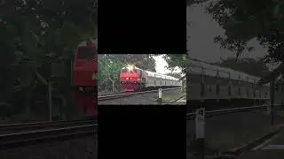 Kereta Bengawan 282 bersama Lokomotif Langka di Jawa CC 201 83 48 SDT RNB #videoshort #keretaapi