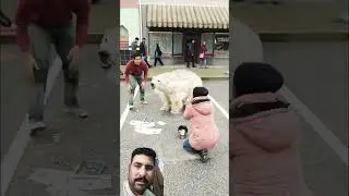 #prank #bear #animals #ytshorts #funny #shorts #viral