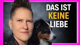 ❌ TU DAS – und dein Hund zerbricht innerlich 💔🐕
