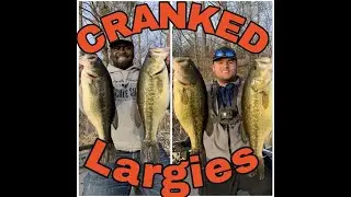 BIG Largies on cranks