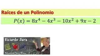 Raíces Racionales e Irracionales de un Polinomio