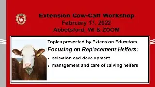 Cow-Calf Presentation Successfully Calving First Time Heifers