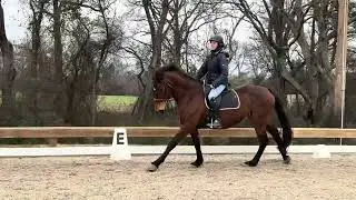 Olivia - Flat - 1/7/26