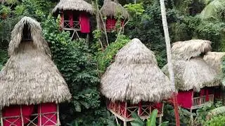 Dominican Treehouse Village Adventure