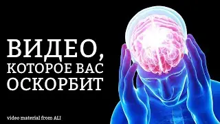 Видео, которое Вас оскорбит | video material from ALI