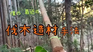【自伐型林業】ハンドウィンチとクサビでダブル安全策でスギの伐倒‼︎慣れてきた今こそ基本を思い出す‼︎ チェーンソー、伐木造材は一瞬の油断も禁物‼︎