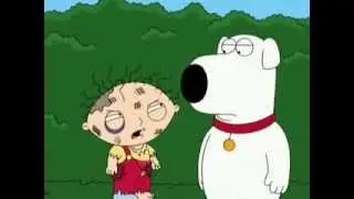 Stewie: 