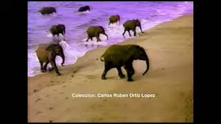 Snickers-Retro Comercial (Puerto Rico 1997)