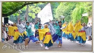【4K】なるたか｜碧羅の天（光が丘よさこい2017）