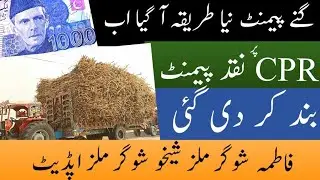 Fatima Sugar Mill Sheikho Sugar Mill sugarcane payment soneri bank ya jahan account huga wahan ayegi