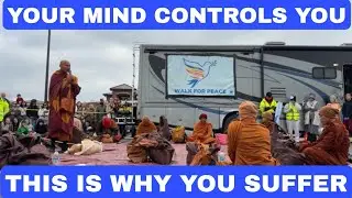 Train Your Mind or It Will Control You | A Monk&rsquo;s Powerful Lesson on Mindfulness