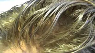 Protesi di capelli naturali