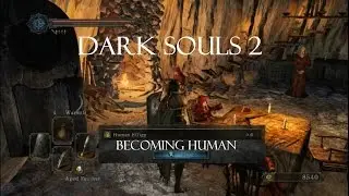 6 free Human Effigies - Dark Souls 2