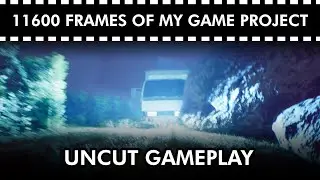 11600 Frames of my Game Project (uncut)