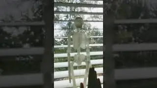 bob the skeleton