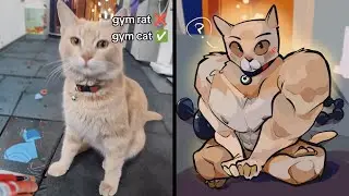 Gym Rat? Gym Cat! 😅The Kitten Workout: Fitness Felines in Action | Cat Memes