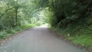 A very beautiful forest path to Visadar Waterfall. This path is completely green.
