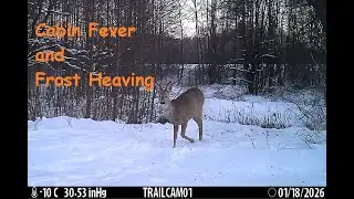 Cabin Fever and Frost Heaving