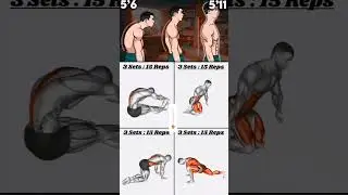 Correct Your Posture: Back Stretching Routine for Spine Alignment