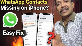 WhatsApp Contacts Missing on iPhone? Easy Fix 🔥
