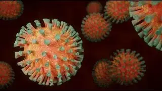 Study Reveals How Covid 19 Damages Lungs, Other Organs