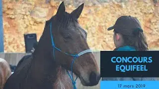 Concours Equifeel du 17 mars 2019 ... on ne s'améliore pas!