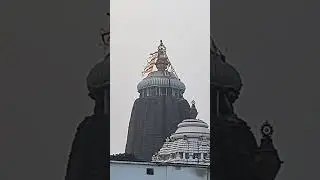 पूरी जगन्नाथ मंदिर में झंडा बदलते हुए #पूरी #purijagannadh 