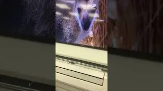 Samsung ue40
