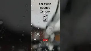 Relaxing sounds of Rain for sleep | Rainy Ambience