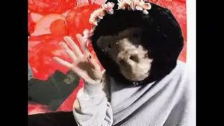GAŁGANY - WIĘCEJ SPRZĘTU (OFFICIAL VIDEO)