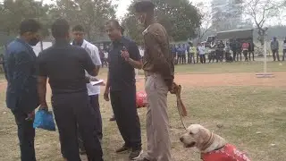 Dog Squad By Bihar Police : Dog Squad In Patna