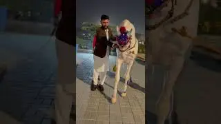 Rawalpindi dhol hourse dance#horse #wedding #dance