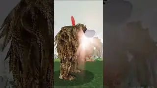 Успей на Голодные Игры!
