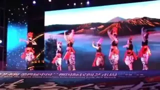 Vistrad Goes To China  2015