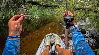 FISHING THE FLORIDA JUNGLE FOR BIG BASS! (Crystal clear Water)