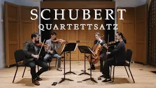 Quartettsatz: Franz Schubert - Vijay Gupta, Jin-Shan Dai, Teng Li and Jonathan Karoly