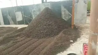 How to make cow manure fertilizer pellets in a small scale