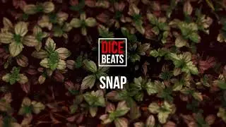 Dice Beats - ''SNAP'' | melodic beat |