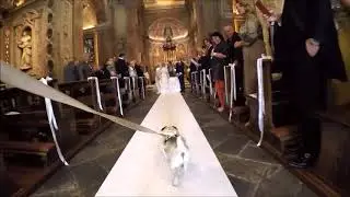 Puka e Tobia portano le fedi: ospiti d'onore al matrimonio