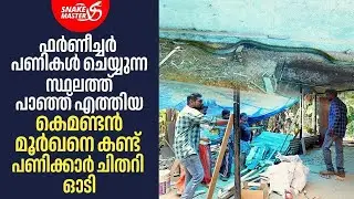 EP 24 | കെമണ്ടൻ മൂർഖനെ കണ്ടാൽ തന്നെ അറ്റാക്ക് വരും | Cobra Rescue | Vava Suresh | Snakemaster