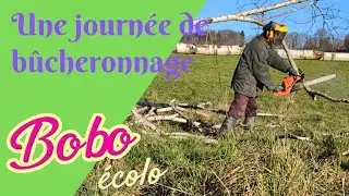 Bucheronnage #astuce bucheron #viealacampagne #viesaine