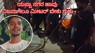 SNAKE RESCUE MISSION! a spine chilling adventure