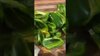 Dehydrating Peppers #pepper #dehydrate #fypシ #youtubeshorts #dehydrated #foodpantry #garden #pantry